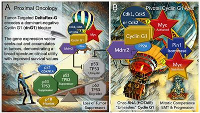 The advent of a pan-collagenous CLOVIS POINT for pathotropic targeting and cancer gene therapy, a retrospective
